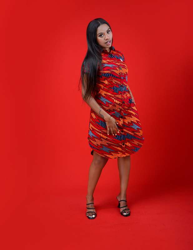Naledi Shirt Dress