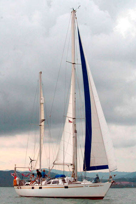 Tara The Terrier a Jack Russell Who Sailed Around the World - had at least nine lives