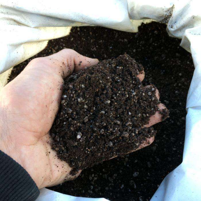 Freedom Farms Seed Starter Growing Medium