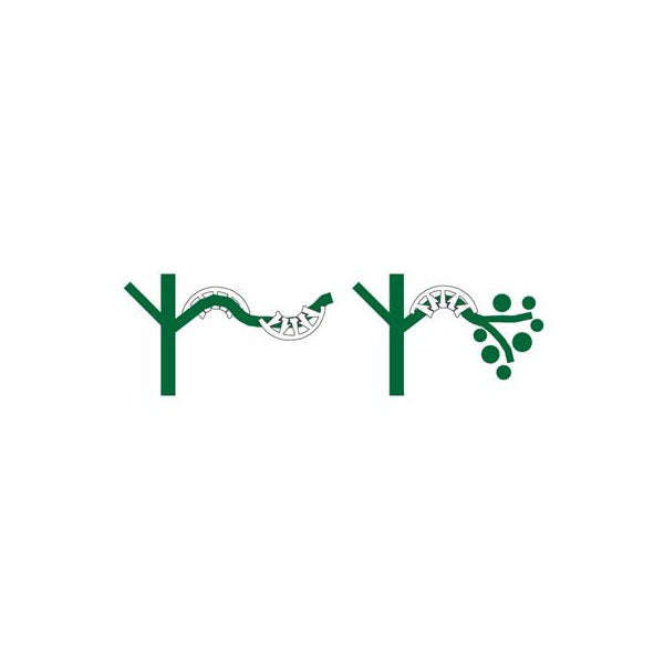 Plant Bends - Plant Training - Pack of 50