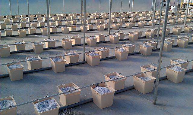 Perlite