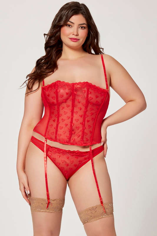 Plus Size Sacred Heart Mesh Embroidered Bustier & Panty