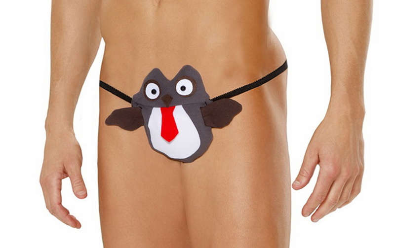 Owl Pouch