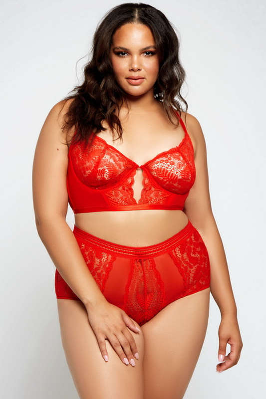 Plus Size Red Lace High Waist Bra Set