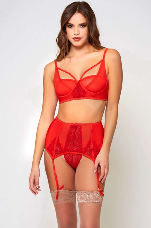 Ravishing In Red Daisy Mesh Lingerie Bra Set