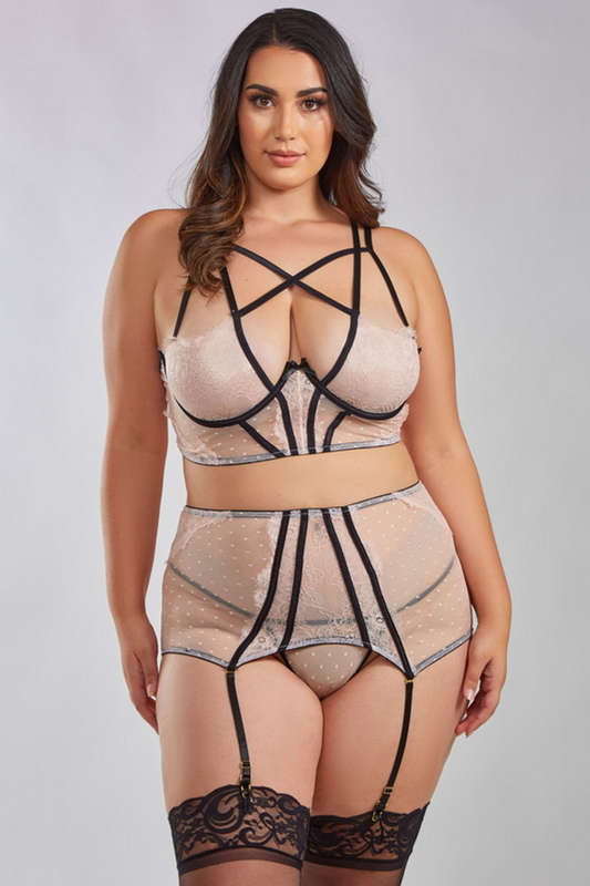 Plus Size Dot Mesh & Lace Bra Set