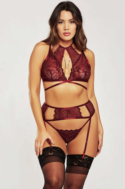 Plus Size Aurora's Burgundy Bra, Garterbelt & Backless Panty Set