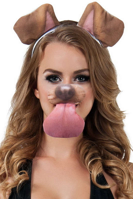 Dog Filter Kit