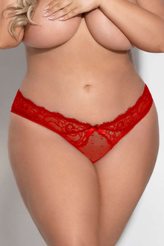 Plus Size Red Eyelash Lace & Mesh Panty