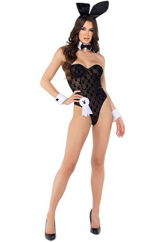 Playboy Sheer Bunny Halloween Costume