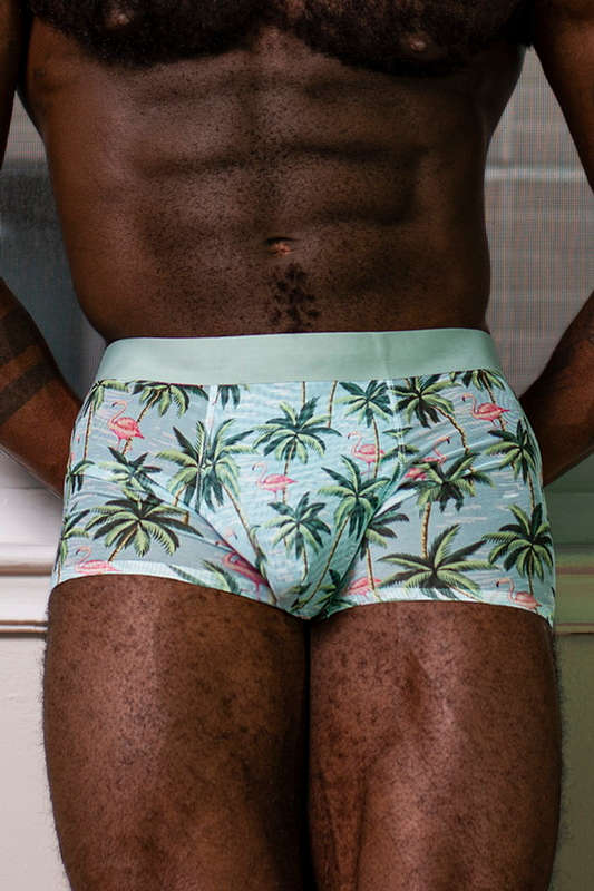 Men's Flamingo Sheer Short