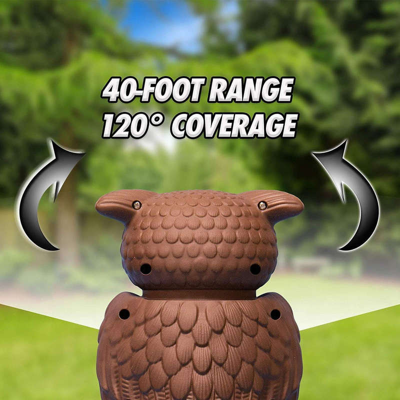 owl-alert-pest-control-snatcher-online-shopping-south-africa-17784855429279.jpg