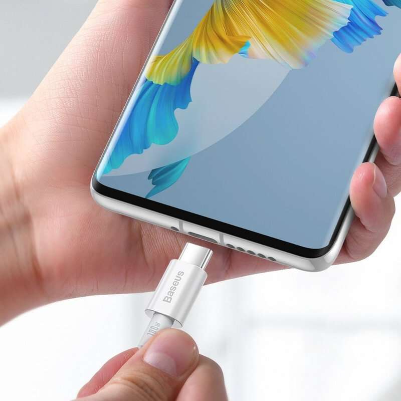 BASEUS Superior Series 100W Fast Charging 1m Data Cable (Type-C to Type-C)