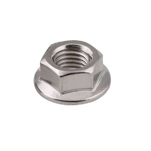 M5 Hex Flange Nuts (10)
