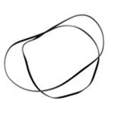 ERZ1-009 Dynam Belt