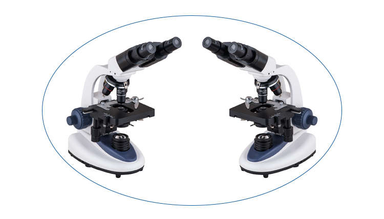 Biological Binocular Microscope