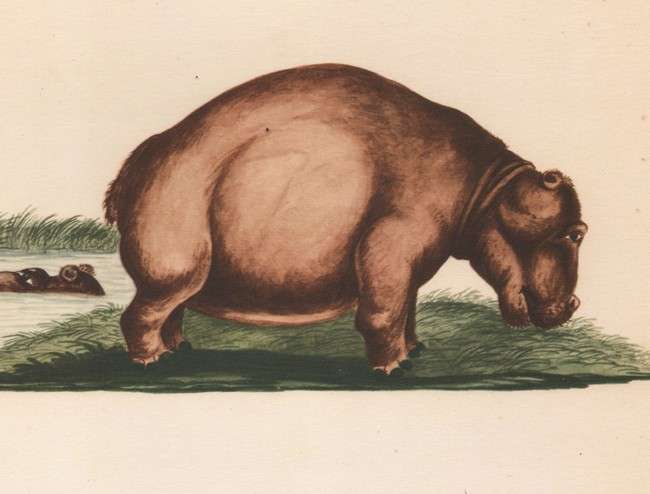 (Hendrik) Claudius - Water-Colours in the Africana Museum  1685-1686 (NUMBERED EDITION)