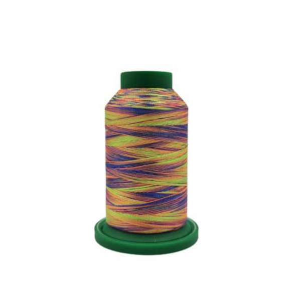 Multi- Colour Embroidery Cotton- Isacord Code-9981( 2 Pack)