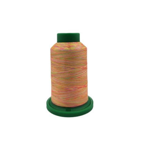 Multi-Colour Embroidery Cotton-Isacord Codes-9302/9914- 2 Pack