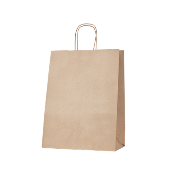 Large Kraft Gusseted Bag with Paper Twist Handles 90g- Pack of 50