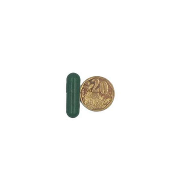 Healthy Life- Green Empty Vegan Capsules HPMC/ Size 0- 1000 in a Pack