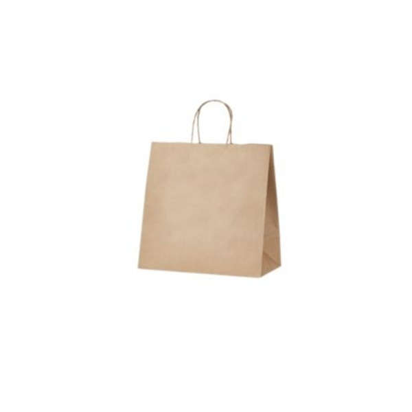 Kraft Gusseted Bag with Paper Twist Handles 90g (code 11) - Pack of 50