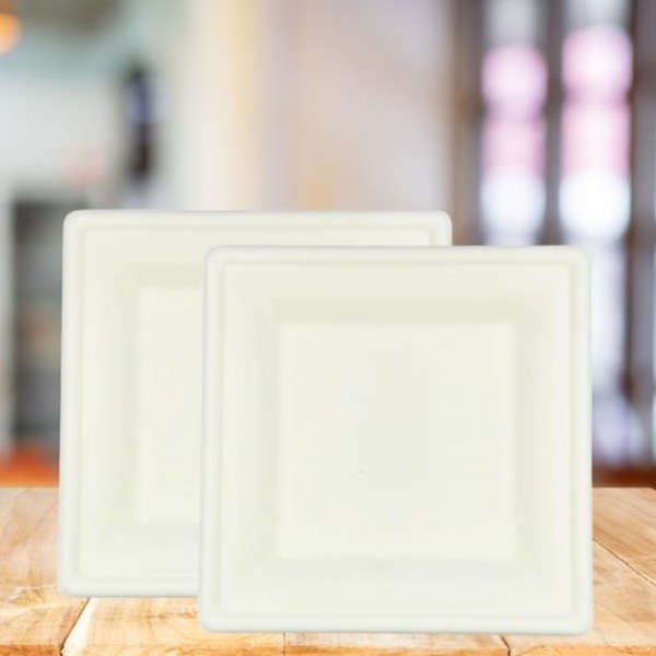 Healthy Life- Sugarcane Sqaure Plate Eco-Friendly - 16cm - Pack of 100