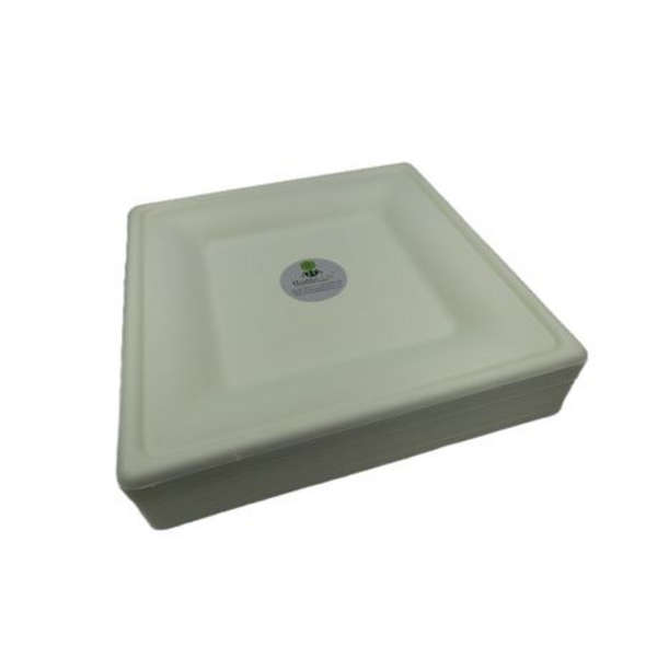 Sugarcane Square Plate Eco-Friendly - 26cm - Pack of 100
