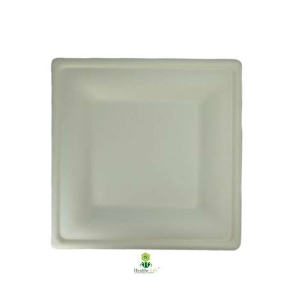 Sugarcane Square Plate Eco-Friendly - 26cm - Pack of 100