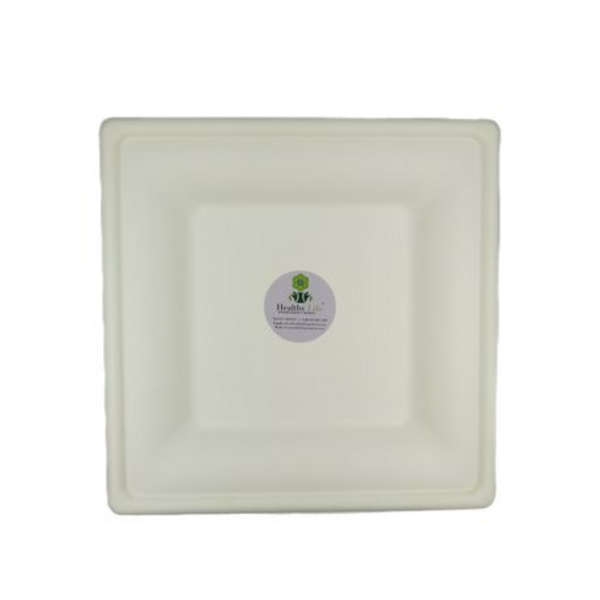 Sugarcane Square Plate Eco-Friendly - 26cm - Pack of 100