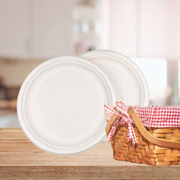 Healthy Life- Sugarcane Plate Eco Disposable - 26cm - Pack of 50