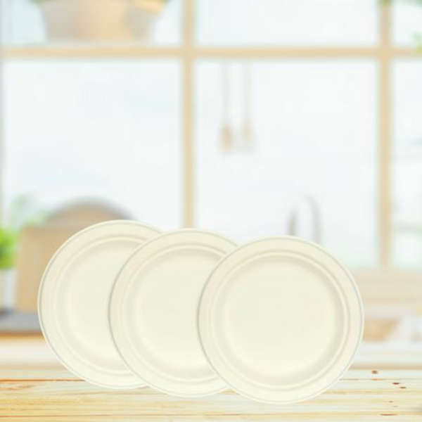 White Sugarcane Plate Eco disposable - 17cm - Pack of 100
