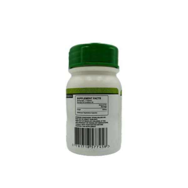 Healthy Life - Ginger Capsules - 60's - Set of 2
