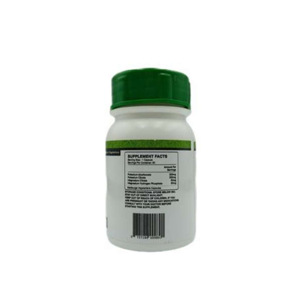 Healthy Life Alkaline Capsules - 60's x 2 Pack