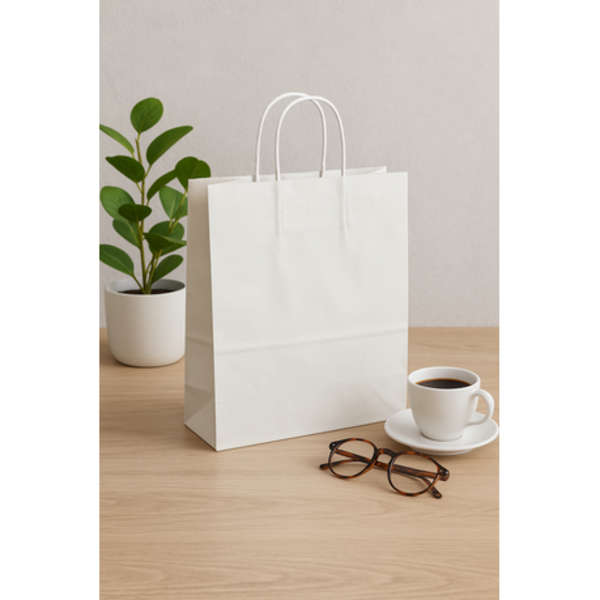 White Gusseted Bag with Paper Twist Handles 115g- Pack of 50
