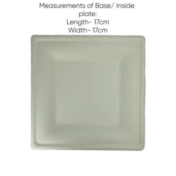Sugarcane Square Plate Eco-Friendly - 26cm - Pack of 100