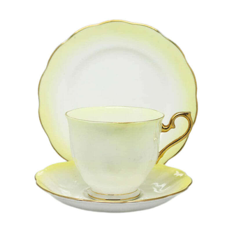 Royal Albert Yellow Harlequin Pattern Trio