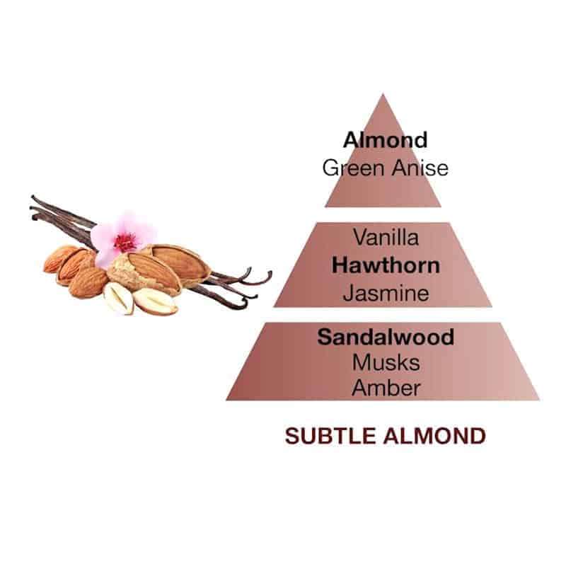 Subtle Almond Lampe Berger Fragrance Oil