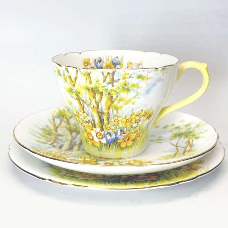 Shelley Daffodil Time Tea Set