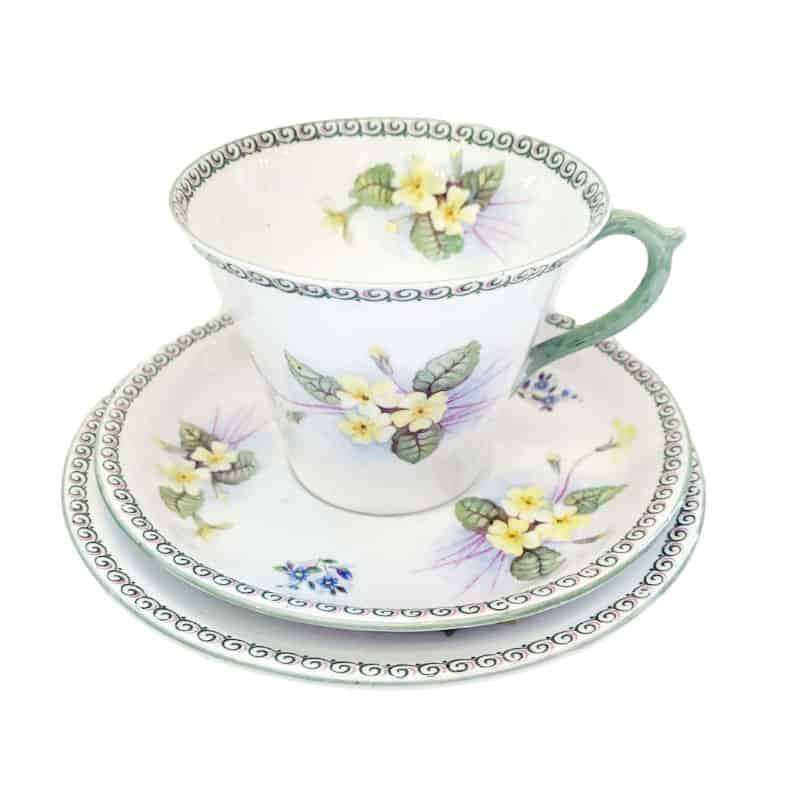 Shelley Primrose 13514 Perth Shape Trio