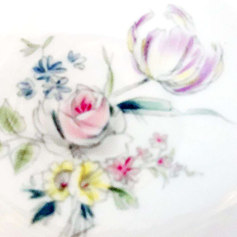 Hutschenreuther Selb Sylvia Entree Plate