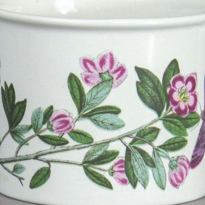 Portmeirion Botanic Garden Tea Duo Rhododendron Lepidotum