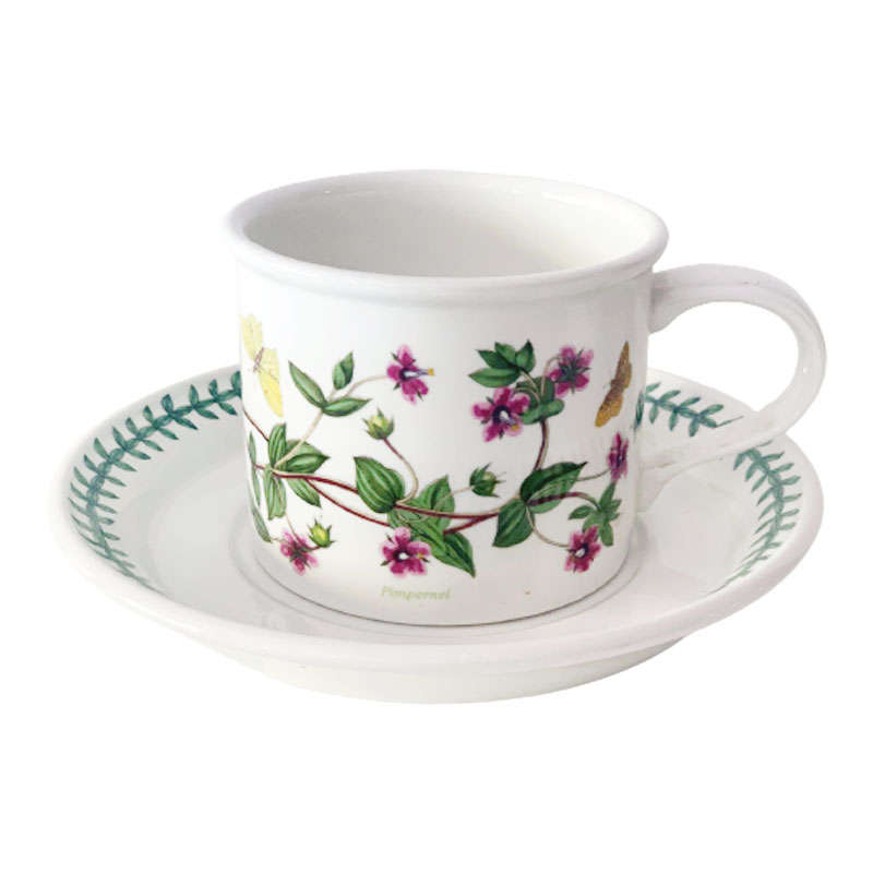 Portmeirion Botanic Garden Tea Duo Pimpernel