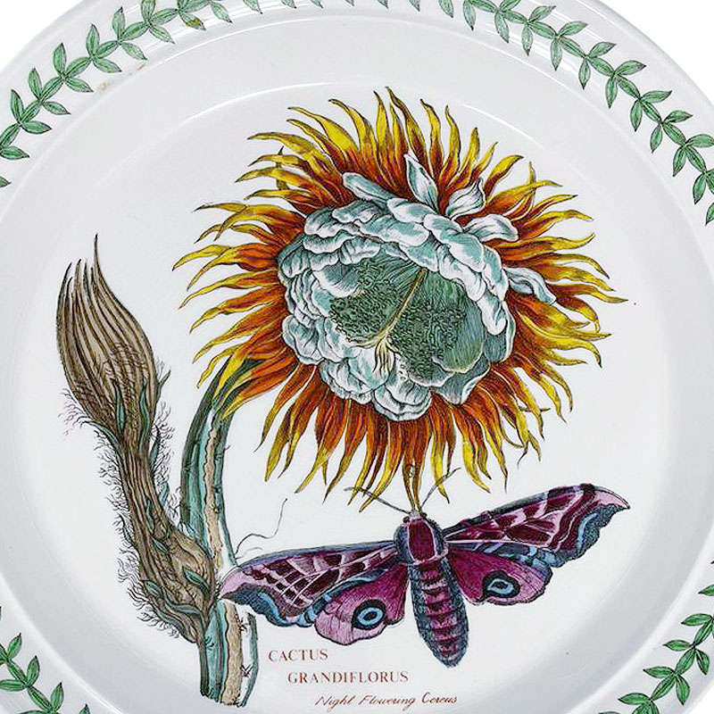 Portmeirion Botanic Garden Entree Plate Night Flowering Cereus