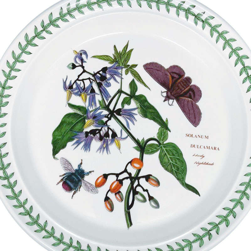 Portmeirion Botanic Garden Entree Plate Woody Nightshade