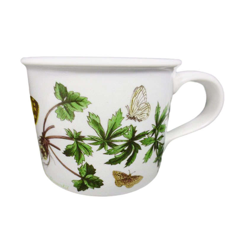 Portmeirion Botanic Garden Demitasse  Duo Potentilla Erecta