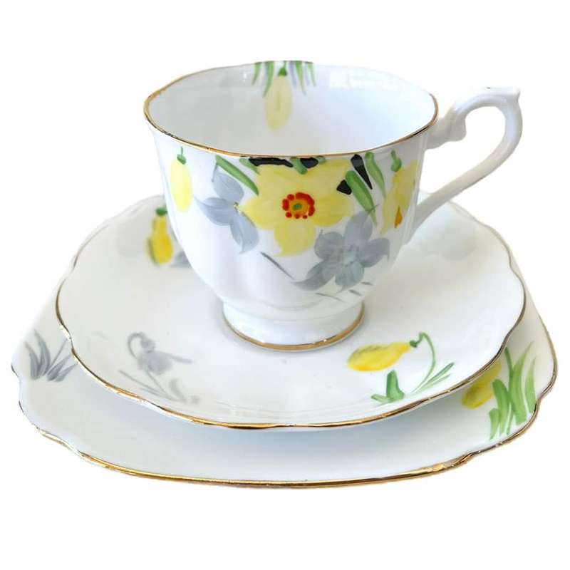 Royal Albert Crown China Hand Painted Daffodil Trio C1925