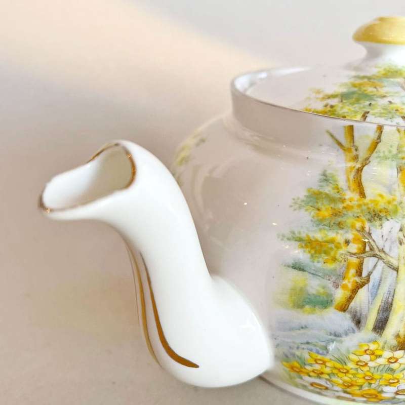 Shelley Daffodil Time Tea Pot