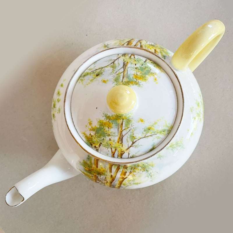 Shelley Daffodil Time Tea Pot