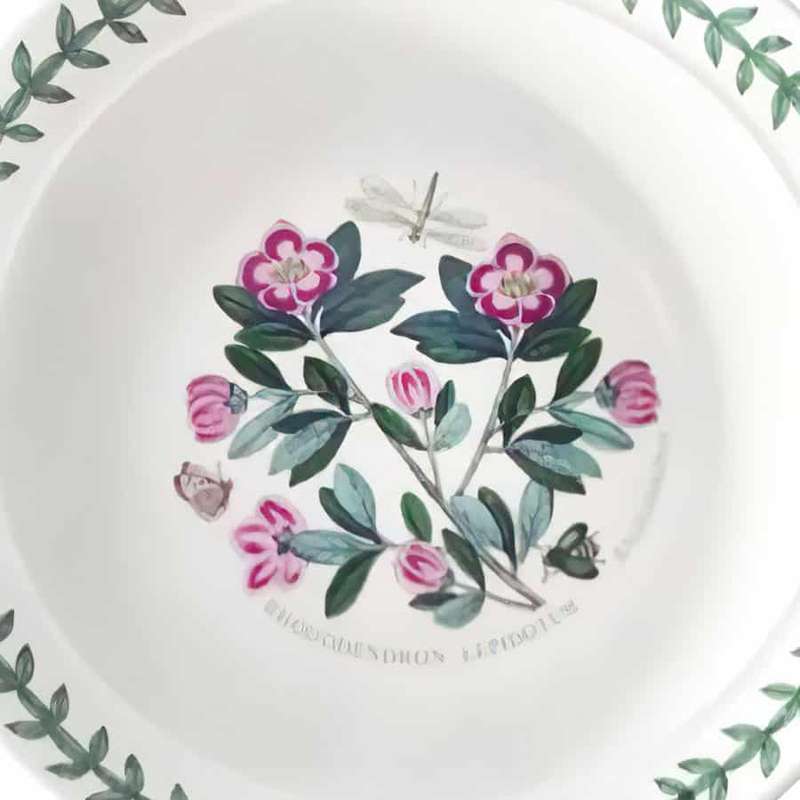 Portmeirion Botanic Garden Lipped Dessert Rhododendron